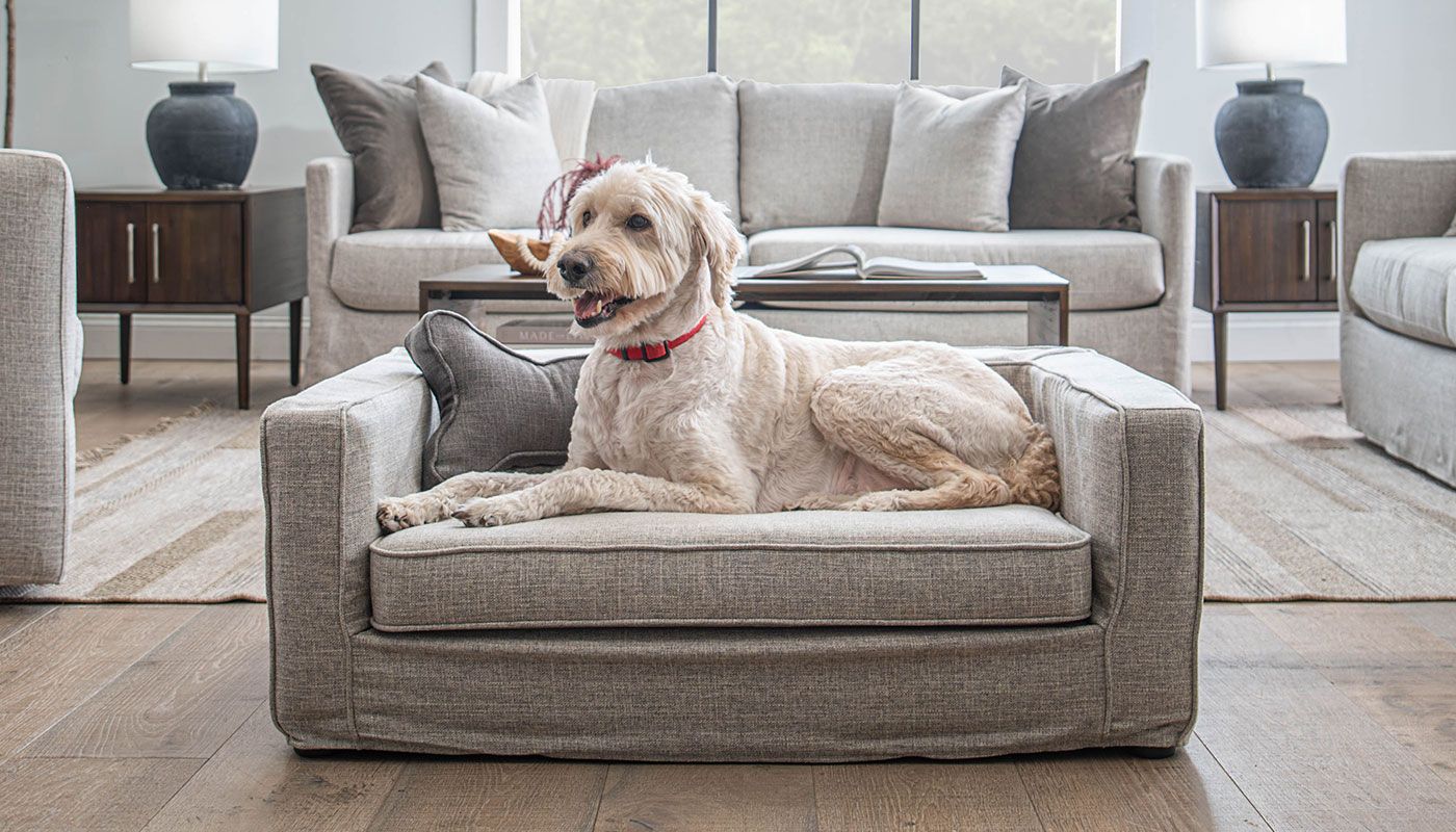 Slip Cover Dog Sofa